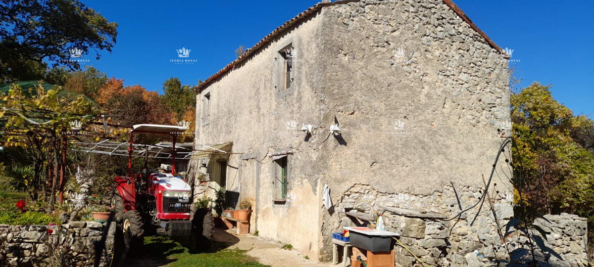 Labin, azienda agricola, vendita.