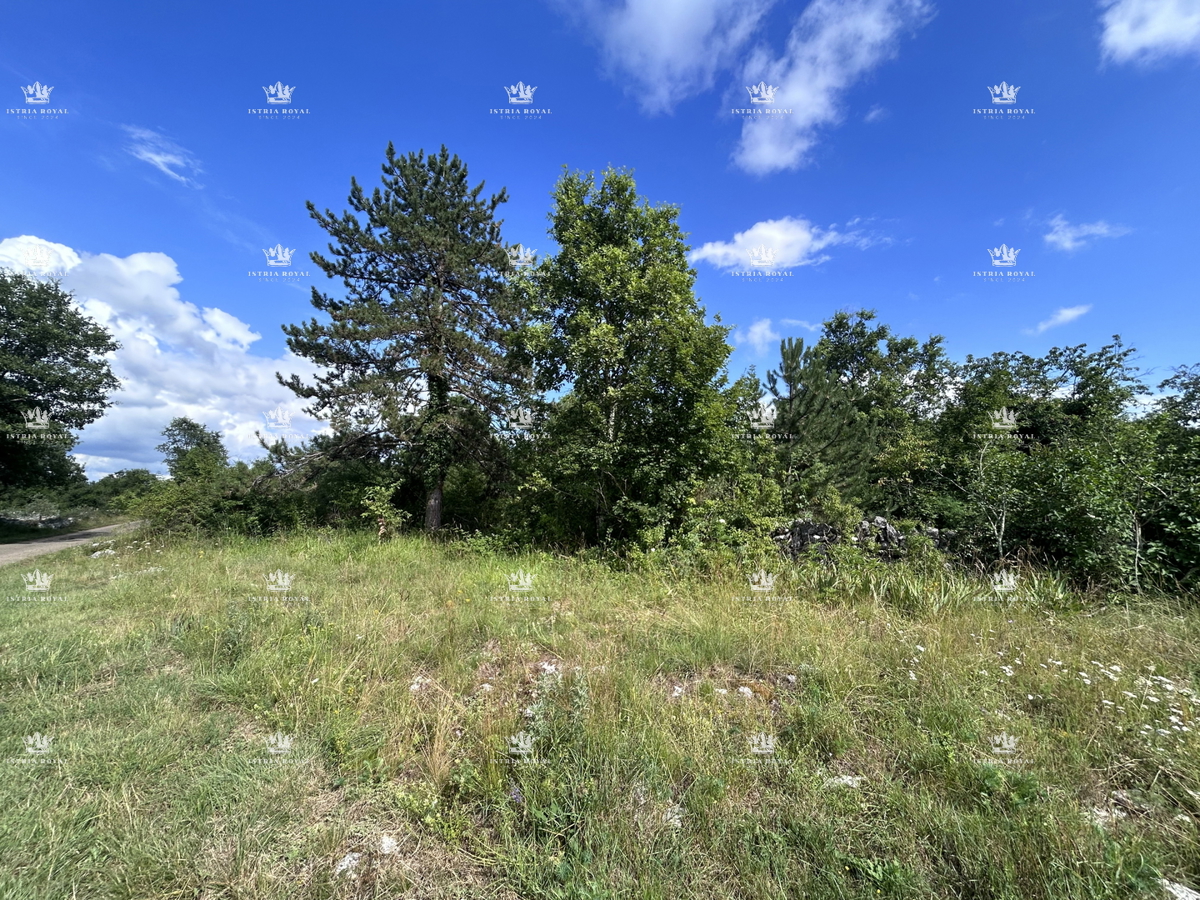 Terreno edificabile di 1000 m² in posizione attrattiva - MARTINČIĆI, GROŽNJAN, ISTRIA.