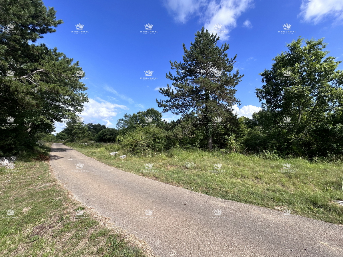 Terreno edificabile di 1000 m² in posizione attrattiva - MARTINČIĆI, GROŽNJAN, ISTRIA.