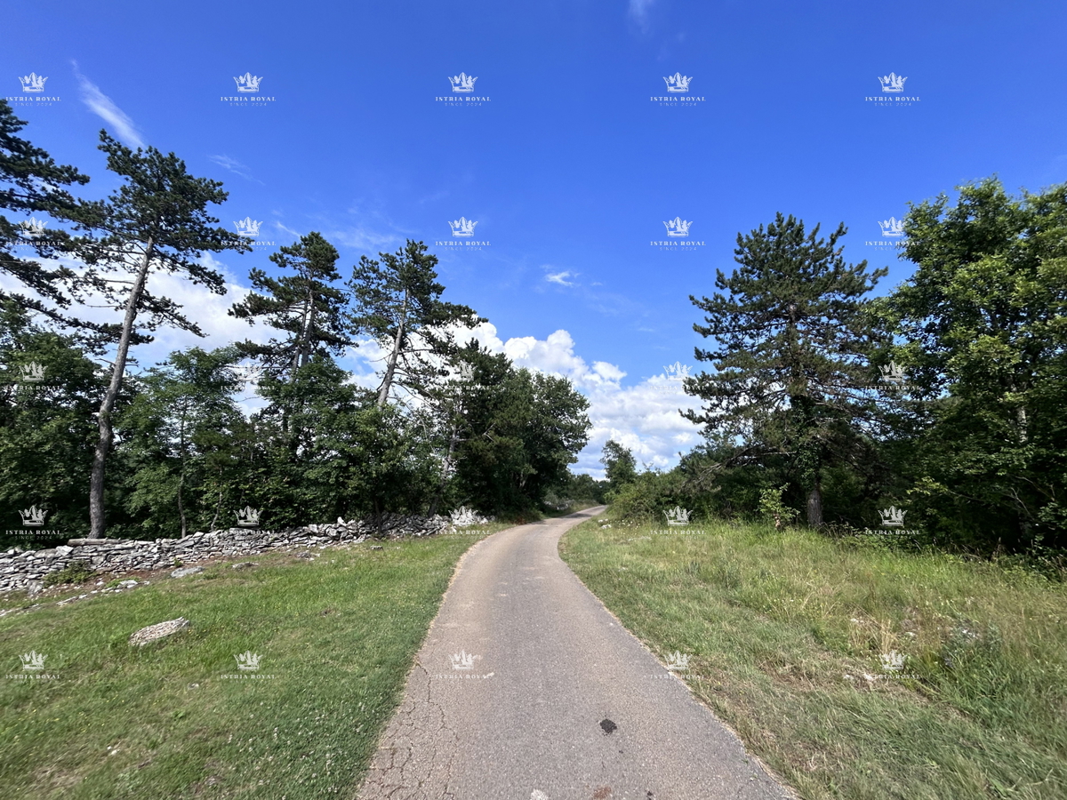 Terreno edificabile di 1000 m² in posizione attrattiva - MARTINČIĆI, GROŽNJAN, ISTRIA.