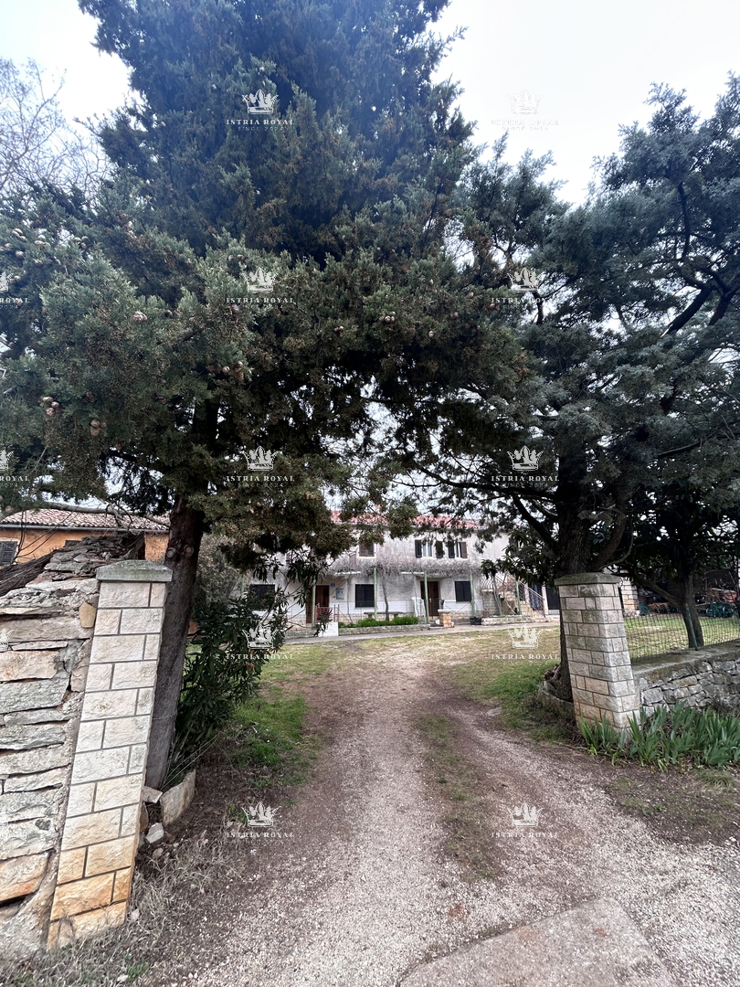 Istria, Plovanija, 4 case a schiera, terreno di 755 m2, da ristrutturare, in vendita