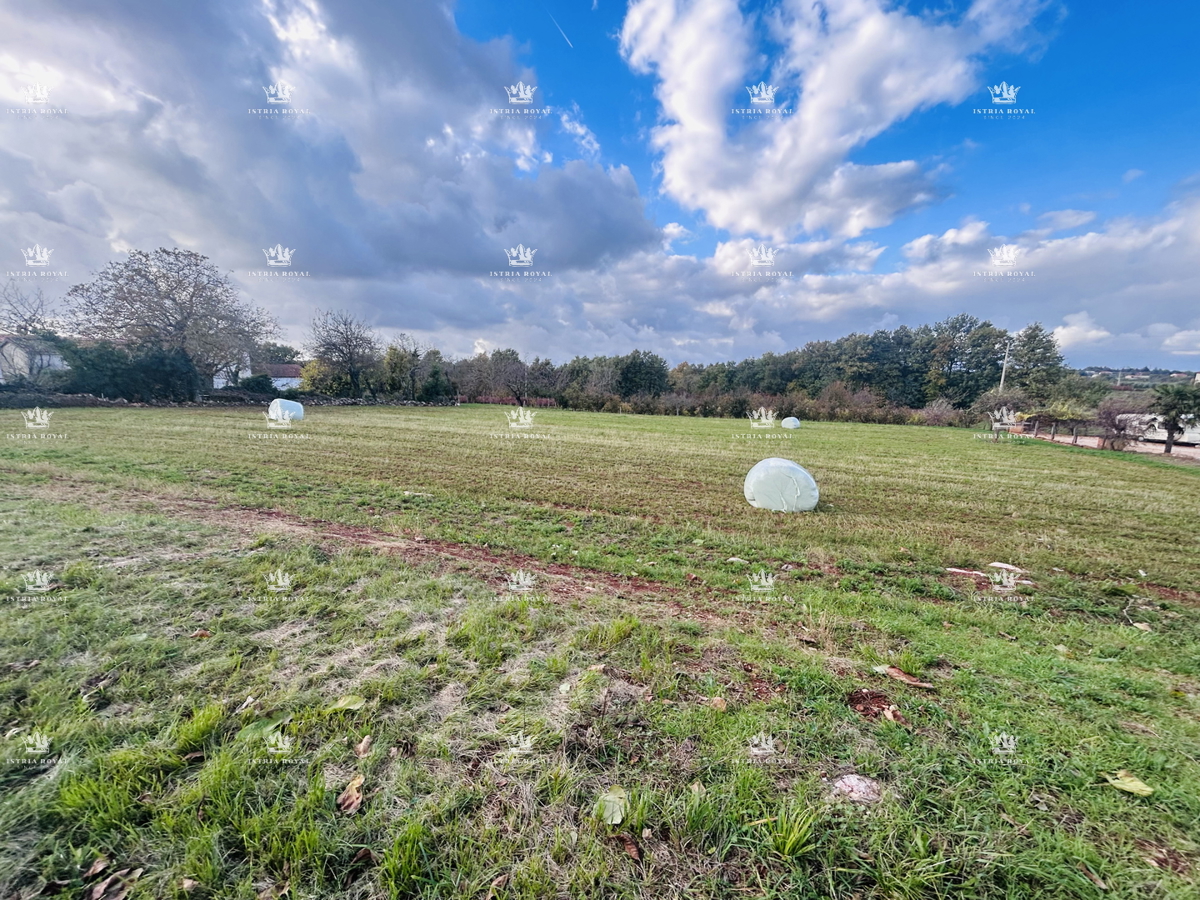 Terreno edificabile 4000 m² in vendita – zona periferica di Baderna, elevata edificabilità, infrastrutture sul lotto