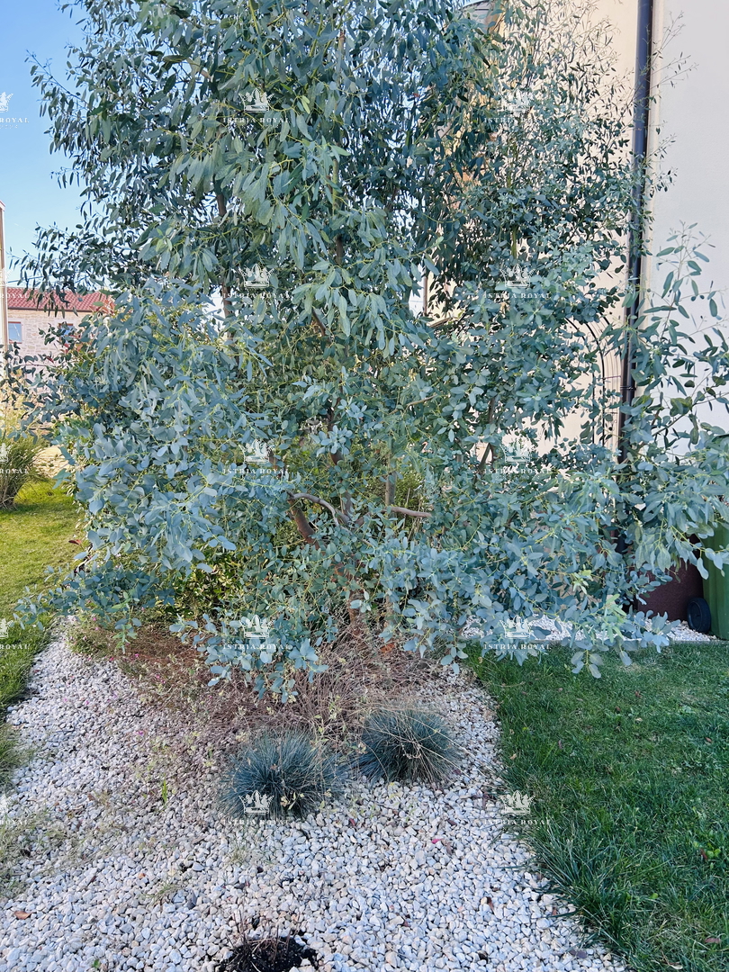 In vendita appartamento spazioso a Taro – 75 m² + 150 m² terrazza e giardino