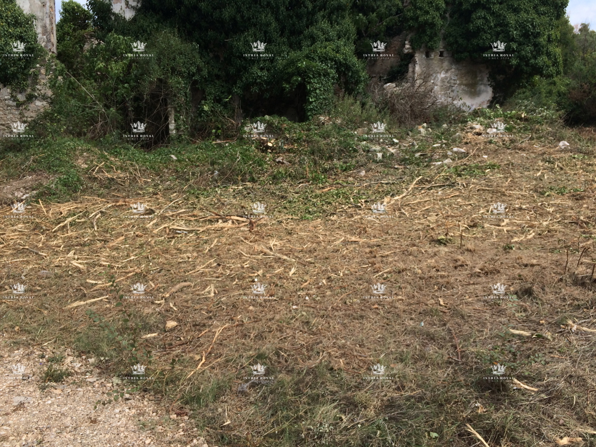 Istria, Savudrija, terreno edificabile, 1.035 m2, vendita, progetto preliminare