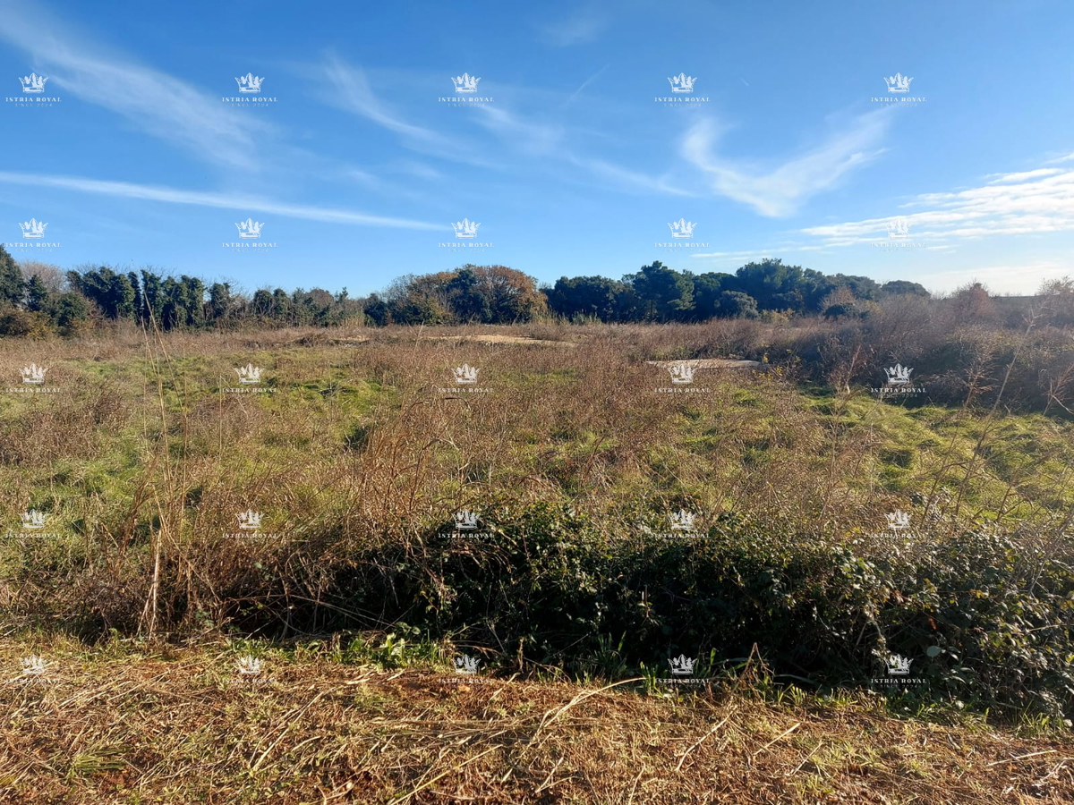 Vendita di grande terreno agricolo a Gočan, Barban, Svetvinčenat – Ideale per la produzione agricola | 93.500 EUR
