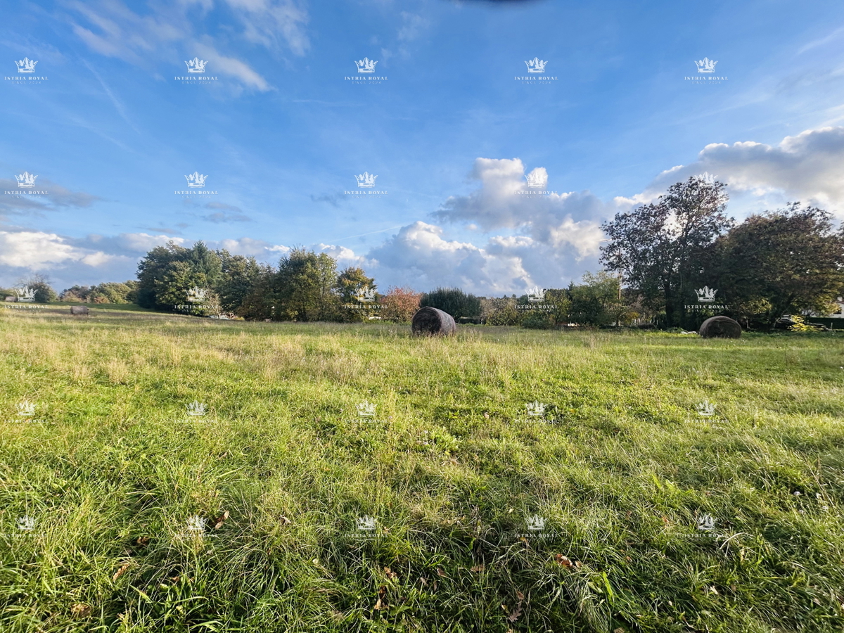 Terreno edificabile 7.335 m² – Žminj, Istria | Edificabilità 40%, ideale per più ville