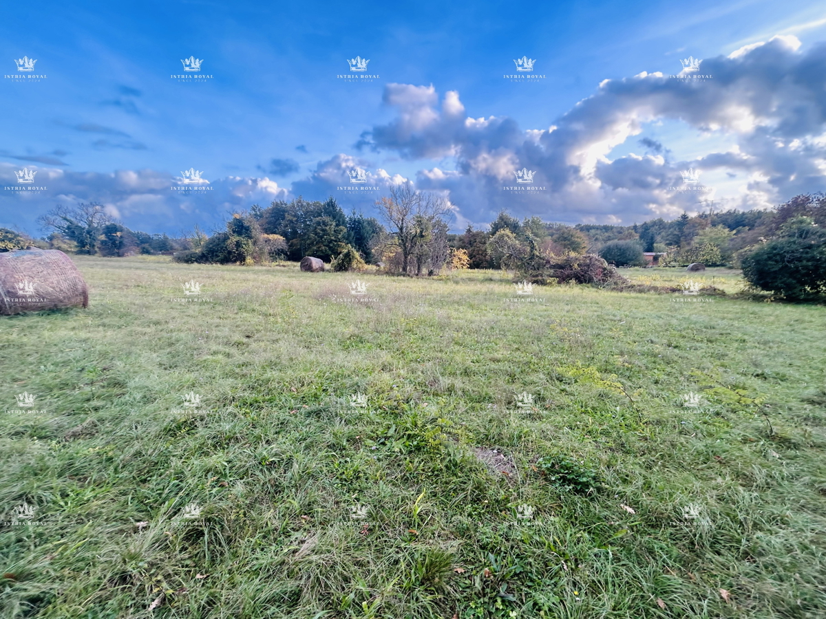 Terreno edificabile 7.335 m² – Žminj, Istria | Edificabilità 40%, ideale per più ville