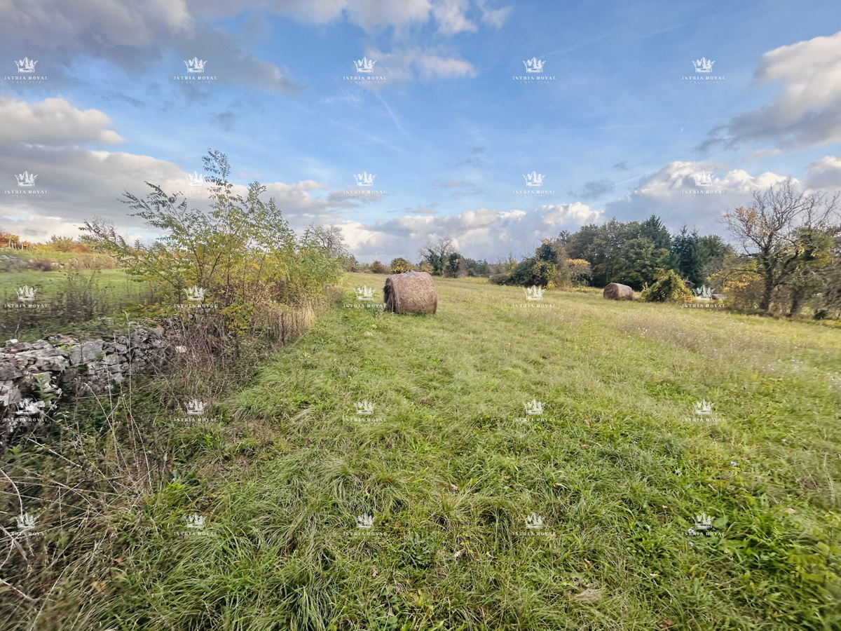 Terreno edificabile 7.335 m² – Žminj, Istria | Edificabilità 40%, ideale per più ville