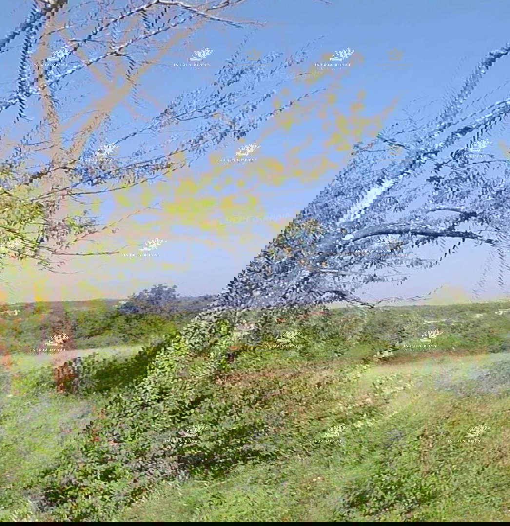 Istra, Murine, terreno edificabile 632m2, vendita