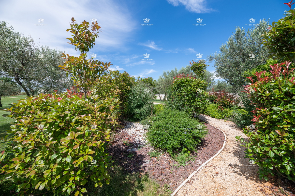 ISTRIA – ZAMBRATIJA – Lussuosa villa di 450 m² con piscina, vista mare e oliveti, smart home.