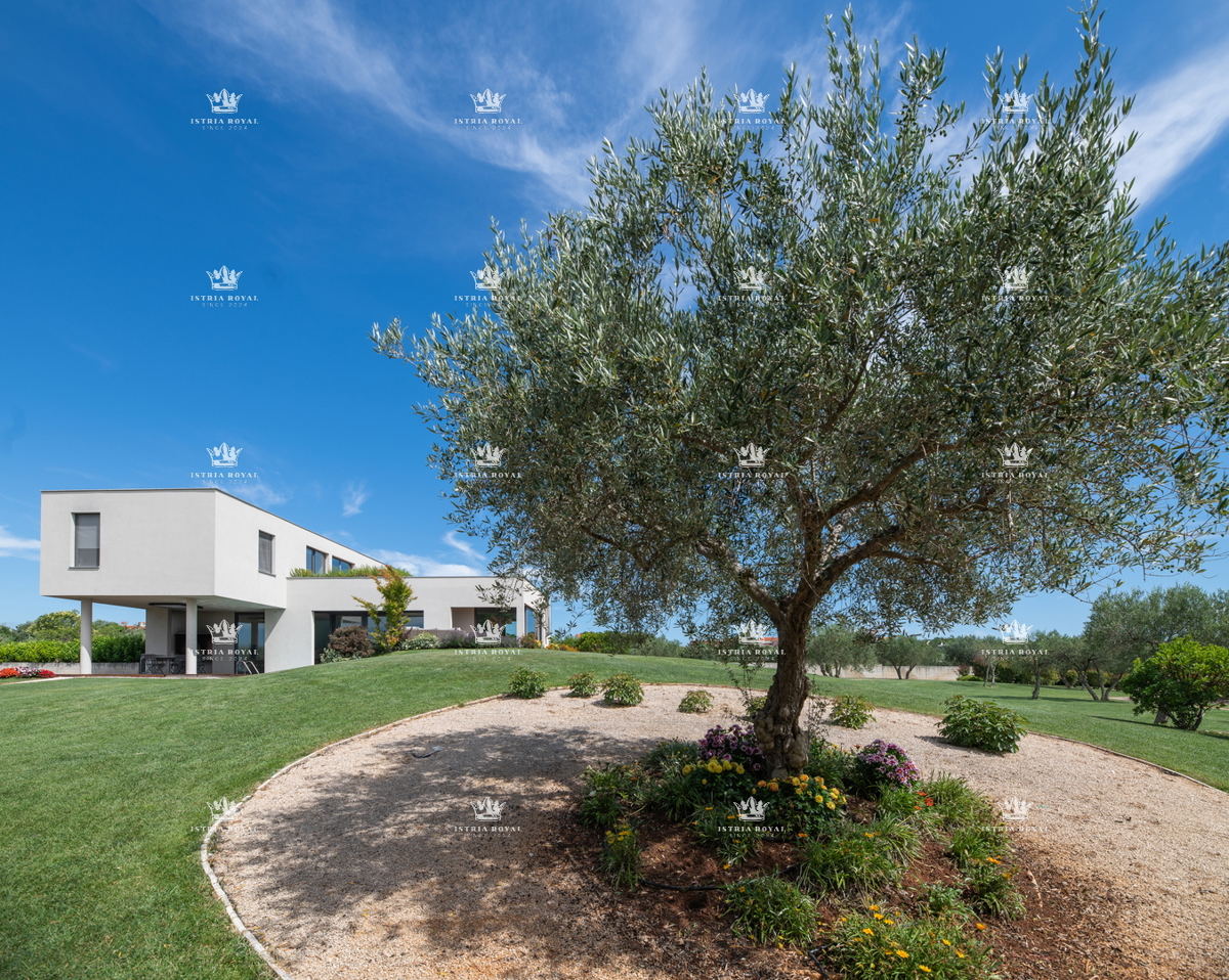 ISTRIA – ZAMBRATIJA – Lussuosa villa di 450 m² con piscina, vista mare e oliveti, smart home.