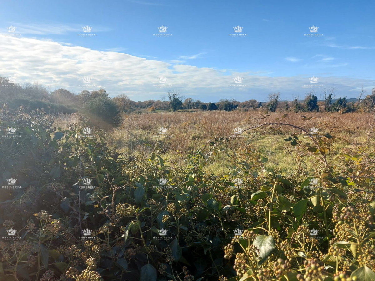 Vendita Punto Turistico a Krsan – Investimento nello Sviluppo del Turismo in Istria!