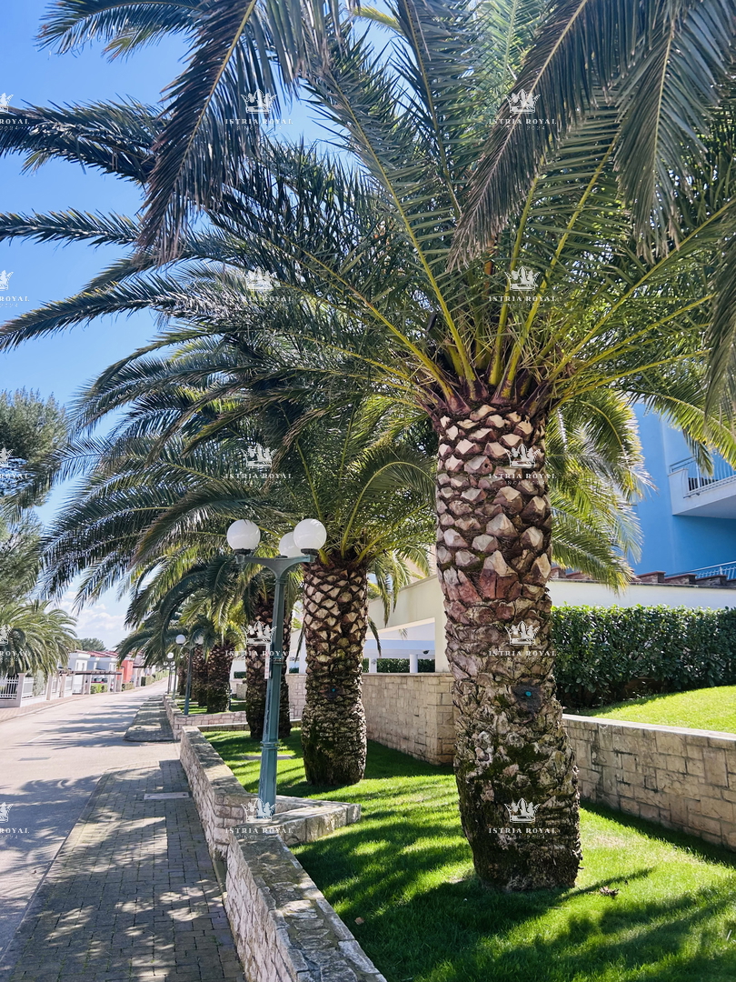Lussuoso appartamento con vista mare – Crveni Vrh, Savudrija (2 camere da letto, 130m², 100m dal mare)