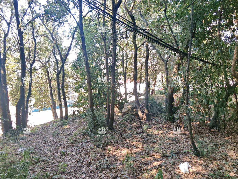 Istra, Pula, Marina Veruda, zemljište na moru (šuma).