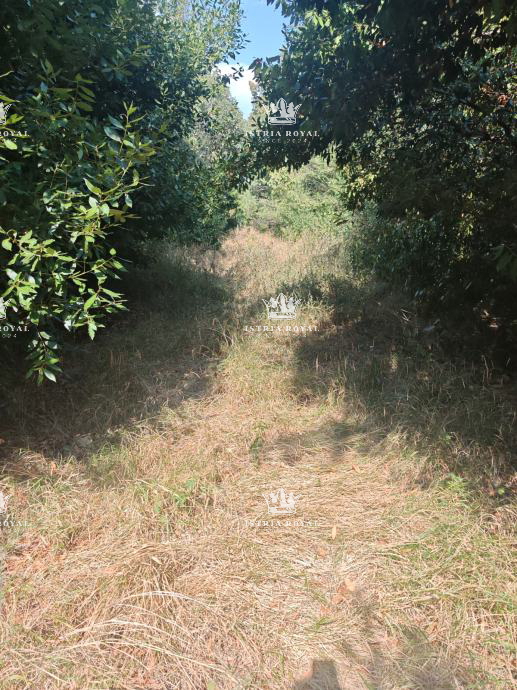 Istra, Pula, Marina Veruda, zemljište na moru (šuma).