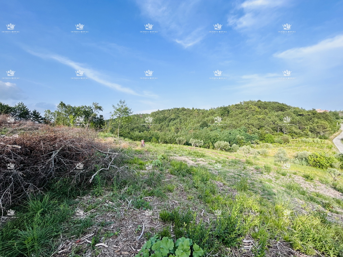 Istria, Krasica, terreno edificabile 2250 m2, vista mare, per la costruzione di più ville