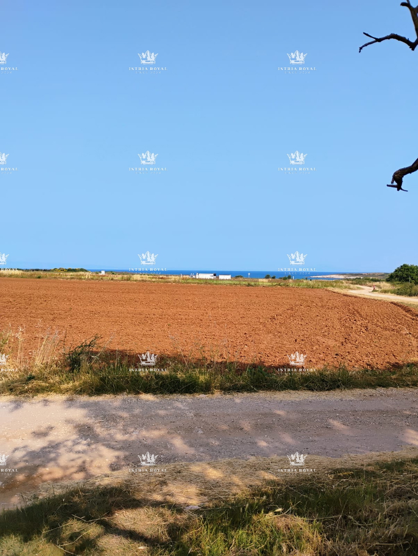 IN VENDITA – TERRENO AGRICOLO CON ULIVETO 3674 m² VICINO AL MARE – LIŽNJAN