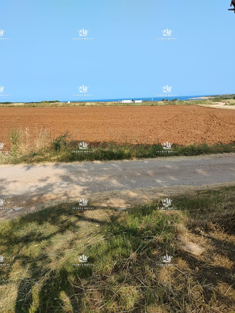 IN VENDITA – TERRENO AGRICOLO CON ULIVETO 3674 m² VICINO AL MARE – LIŽNJAN