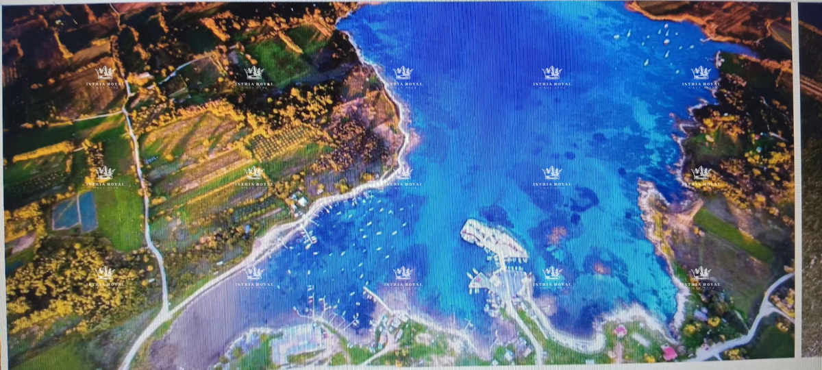 IN VENDITA – TERRENO AGRICOLO CON ULIVETO 3674 m² VICINO AL MARE – LIŽNJAN