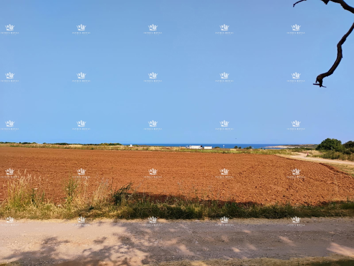 IN VENDITA – TERRENO AGRICOLO CON ULIVETO 3674 m² VICINO AL MARE – LIŽNJAN