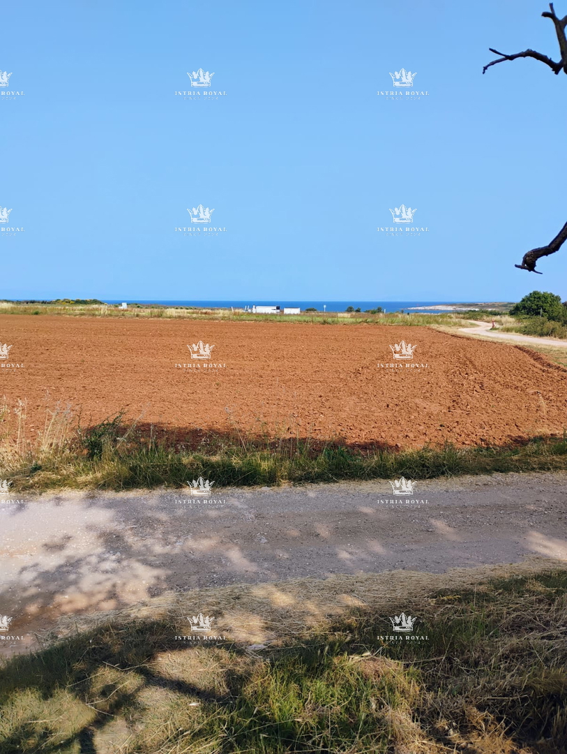 IN VENDITA – TERRENO AGRICOLO CON ULIVETO 3674 m² VICINO AL MARE – LIŽNJAN
