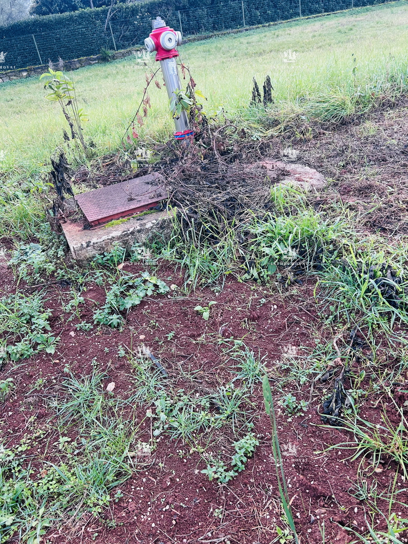 Umag, Juricani, terreno edificabile 900 m2, elettricità, acqua, fognatura, destinazione residenziale, strada asfaltata