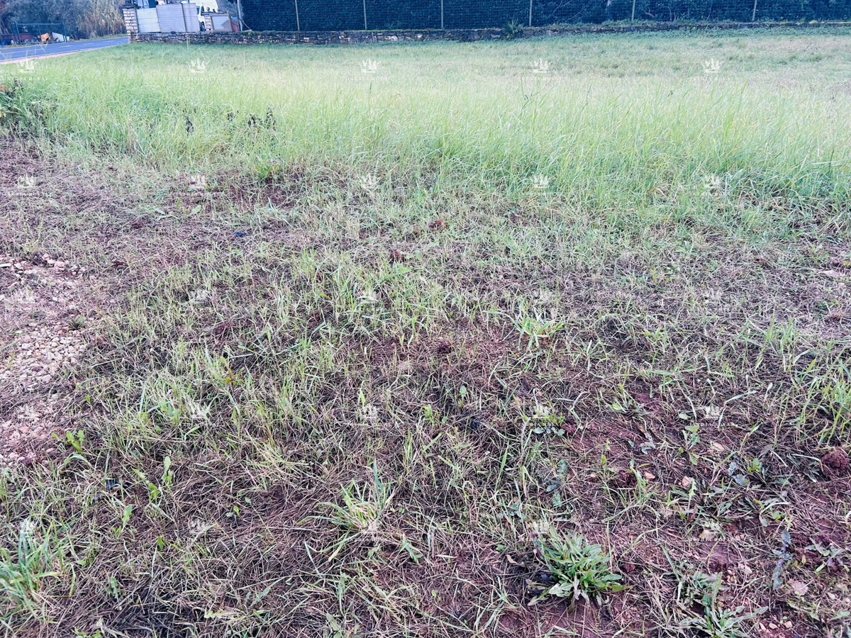 Umag, Juricani, terreno edificabile 900 m2, elettricità, acqua, fognatura, destinazione residenziale, strada asfaltata