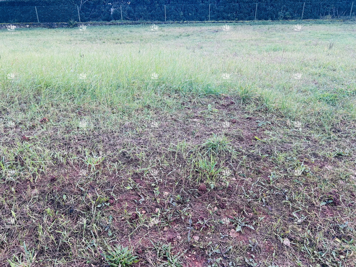 Umag, Juricani, terreno edificabile 900 m2, elettricità, acqua, fognatura, destinazione residenziale, strada asfaltata