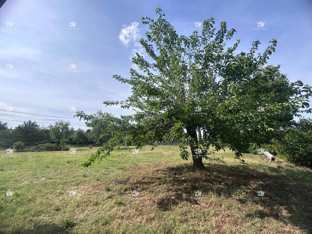 Esclusiva tenuta in Istria di 7.500 m² – 270 m² di casa + 2 strutture agricole | Vista sulla natura, vicino al mare e al confine