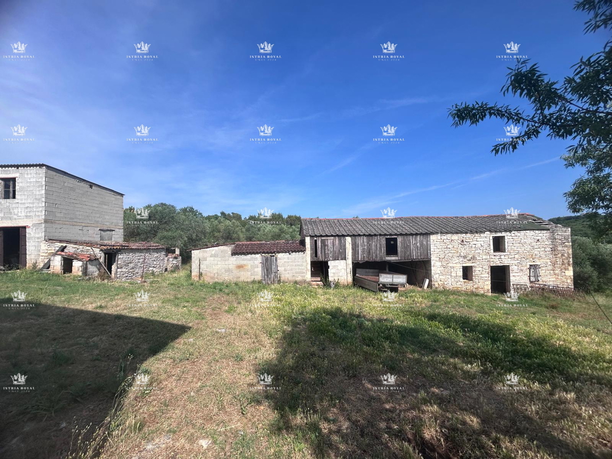 Esclusiva tenuta in Istria di 7.500 m² – 270 m² di casa + 2 strutture agricole | Vista sulla natura, vicino al mare e al confine