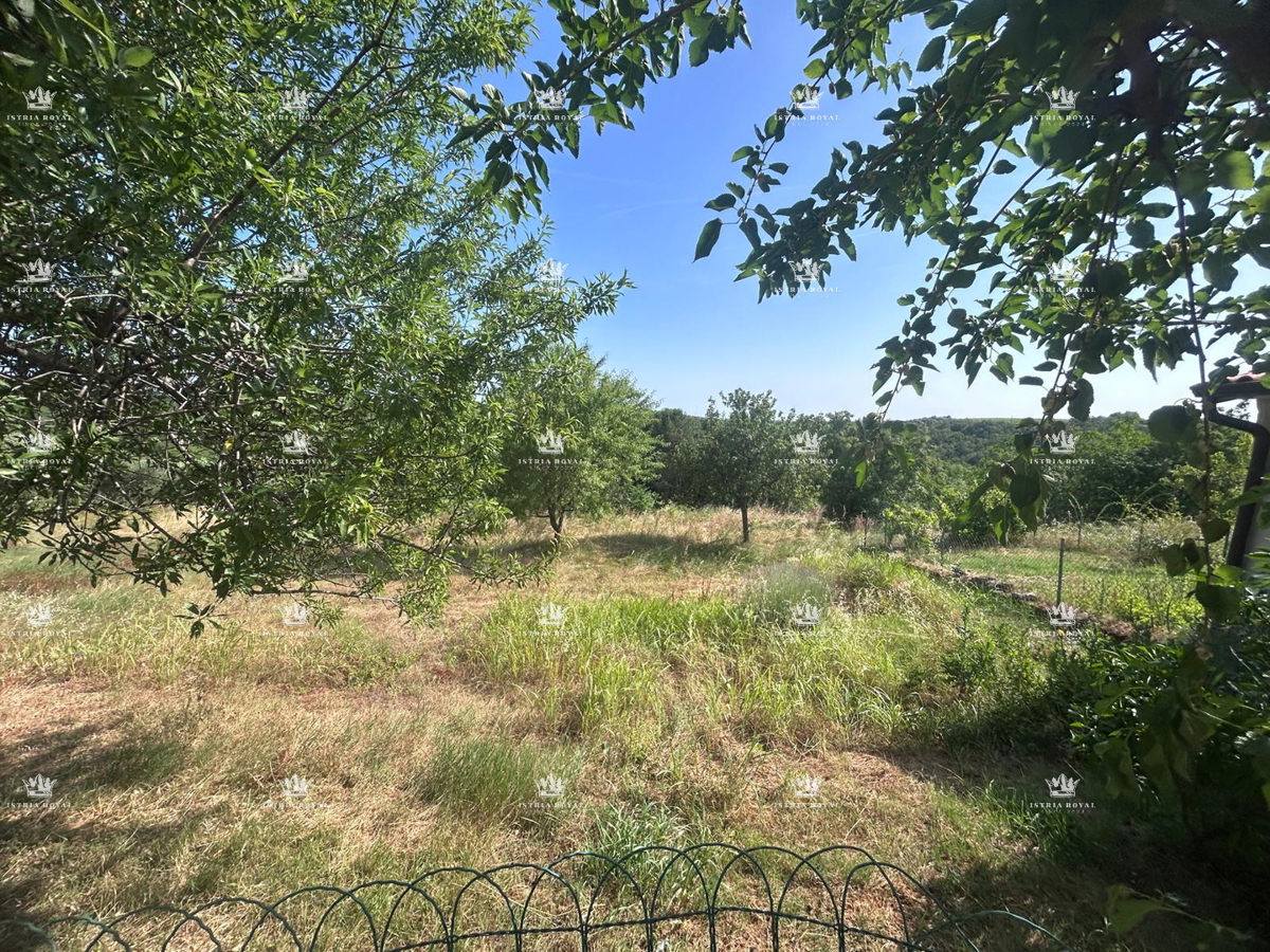 Esclusiva tenuta in Istria di 7.500 m² – 270 m² di casa + 2 strutture agricole | Vista sulla natura, vicino al mare e al confine