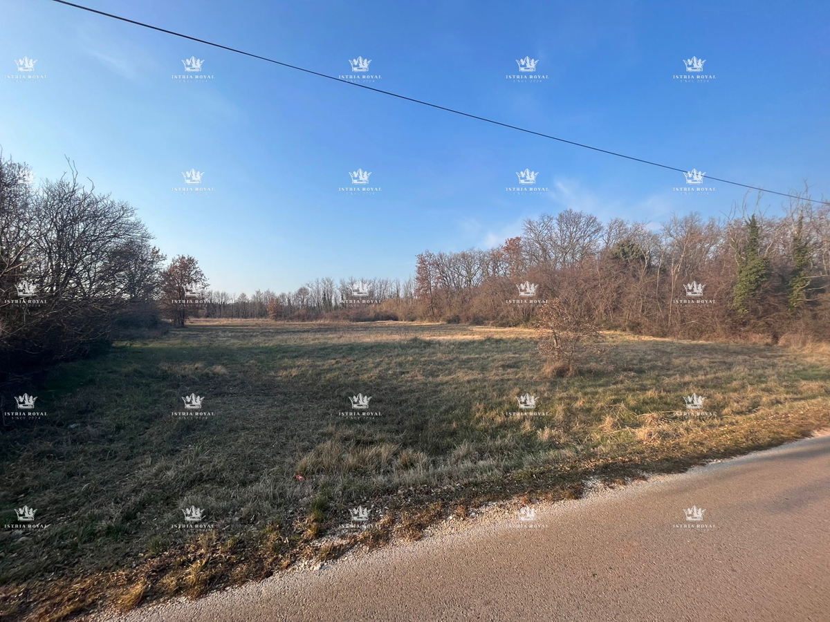 Novigrad, Dajla, Fiorini, vendita di terreno edificabile, 4973m2.