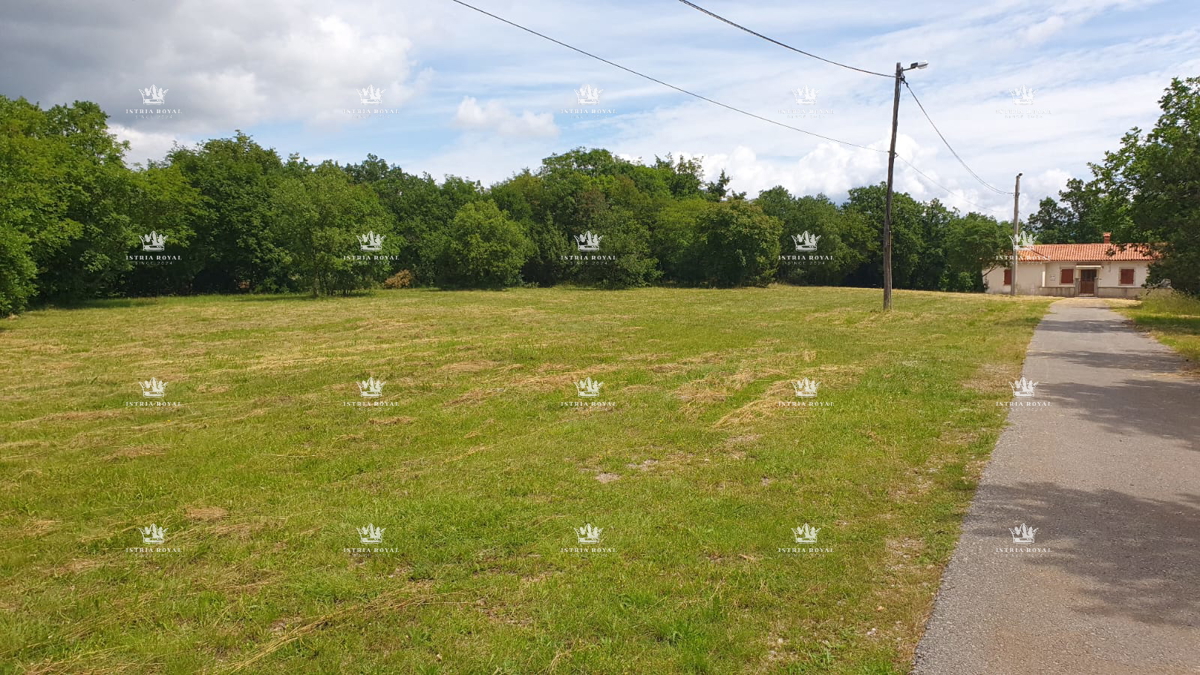 Villa unica isolata con 13.402 m² di terreno vicino a Labin – Due case, enoteca e vista sulla natura.