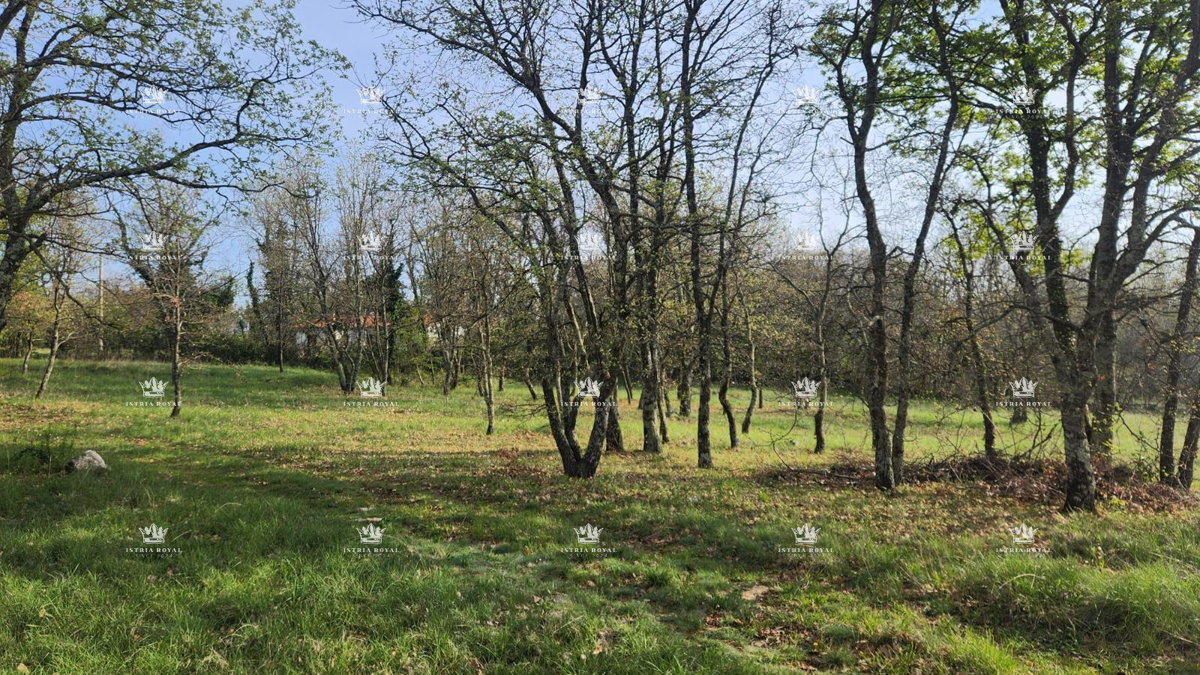 Villa unica isolata con 13.402 m² di terreno vicino a Labin – Due case, enoteca e vista sulla natura.