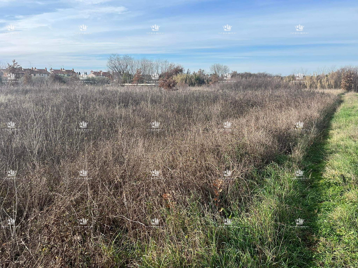 Istra, Umag, terreno edificabile 3000 m2, investimento per la costruzione di un edificio residenziale