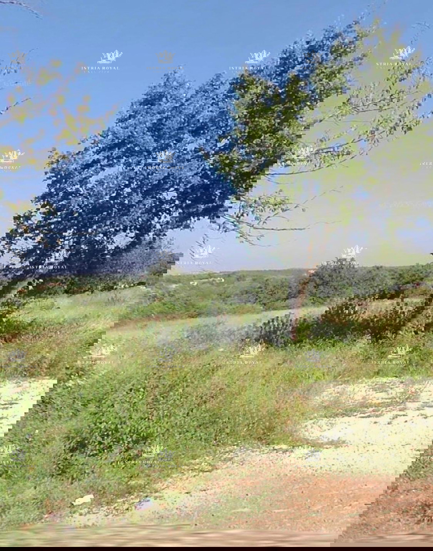 Istra, Murine, terreno edificabile 575m2, vendita