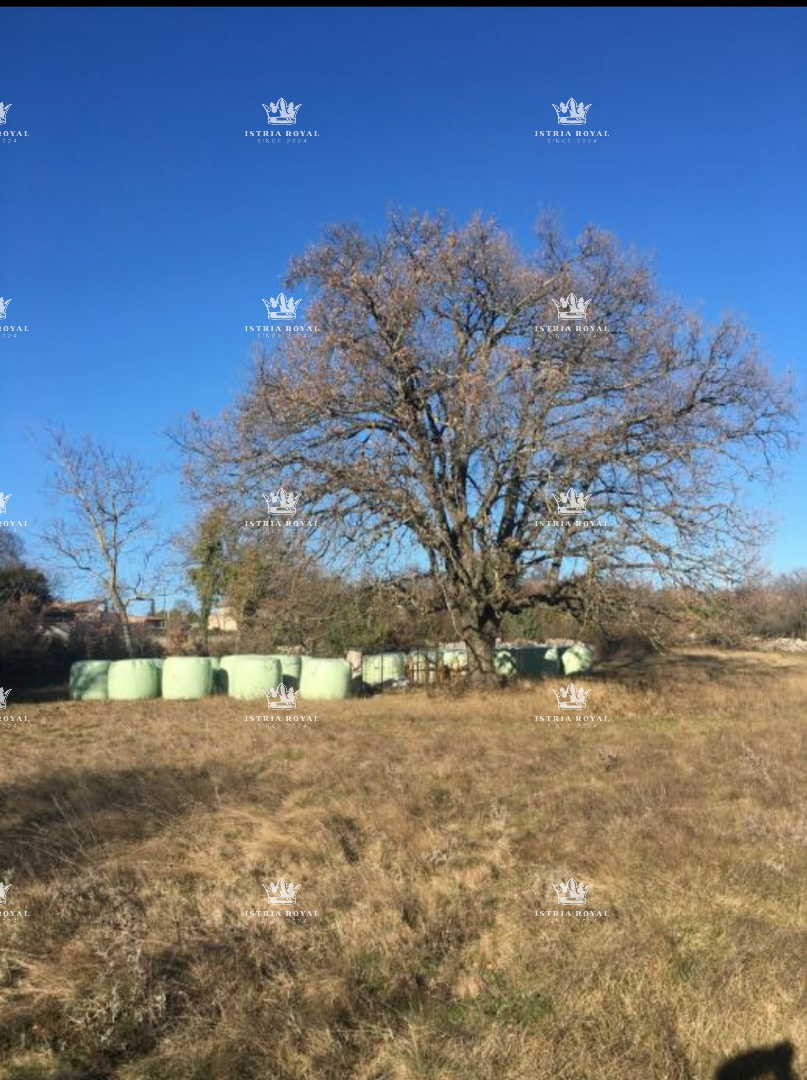 Istria, Barban, vendita di terreno edificabile, per turismo o casa familiare, grande quadratura.