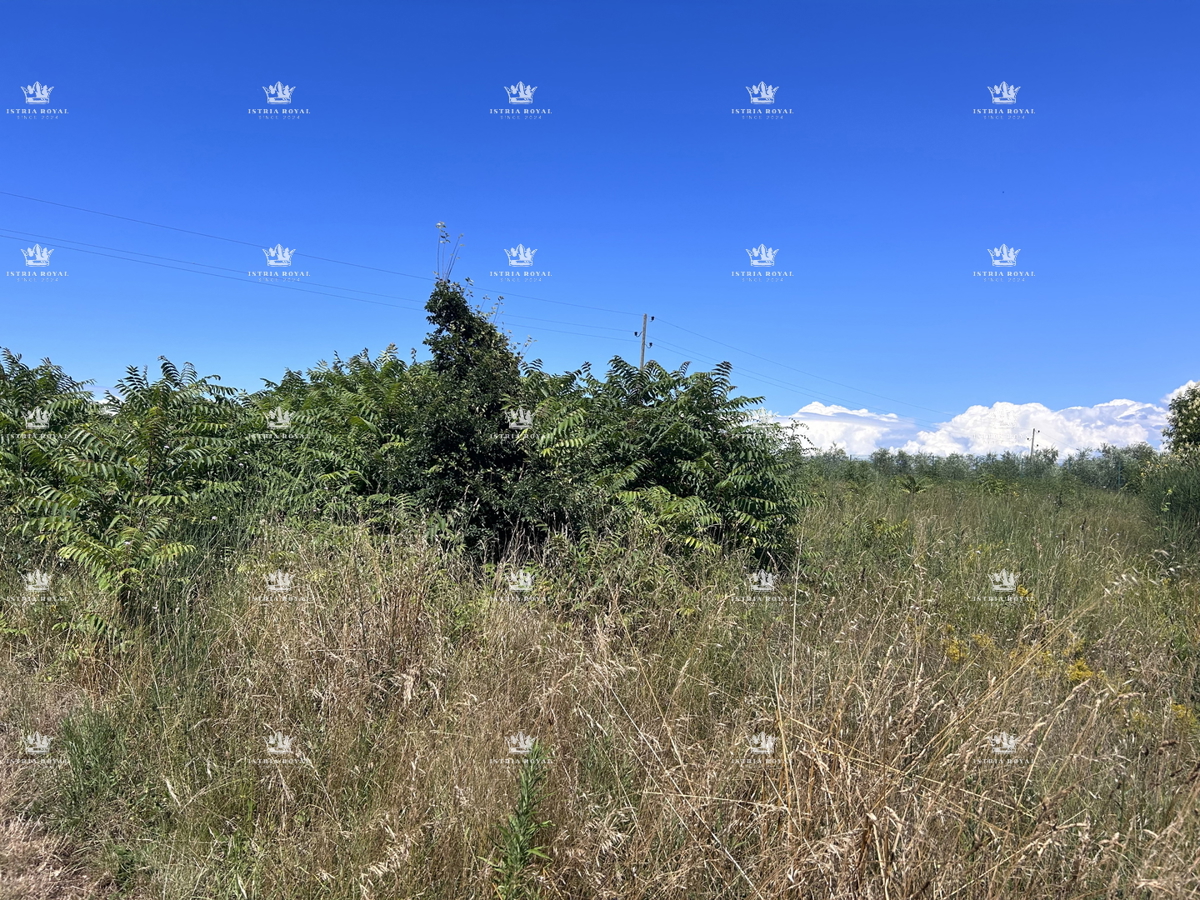 Istria, Zambratija, vendita di terreno edificabile di 1160m2, costruzione di sei appartamenti, 400m dal mare.