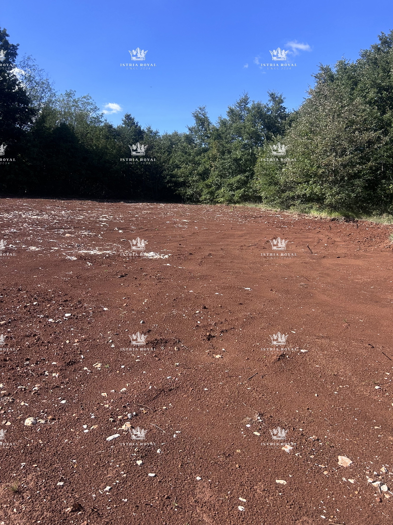 Terreno edificabile 2.938 m² + terreno agricolo 2.812 m² e terreno boschivo 1.557 m² nelle vicinanze di Pazin – Istria, Zabrežani, in vendita!