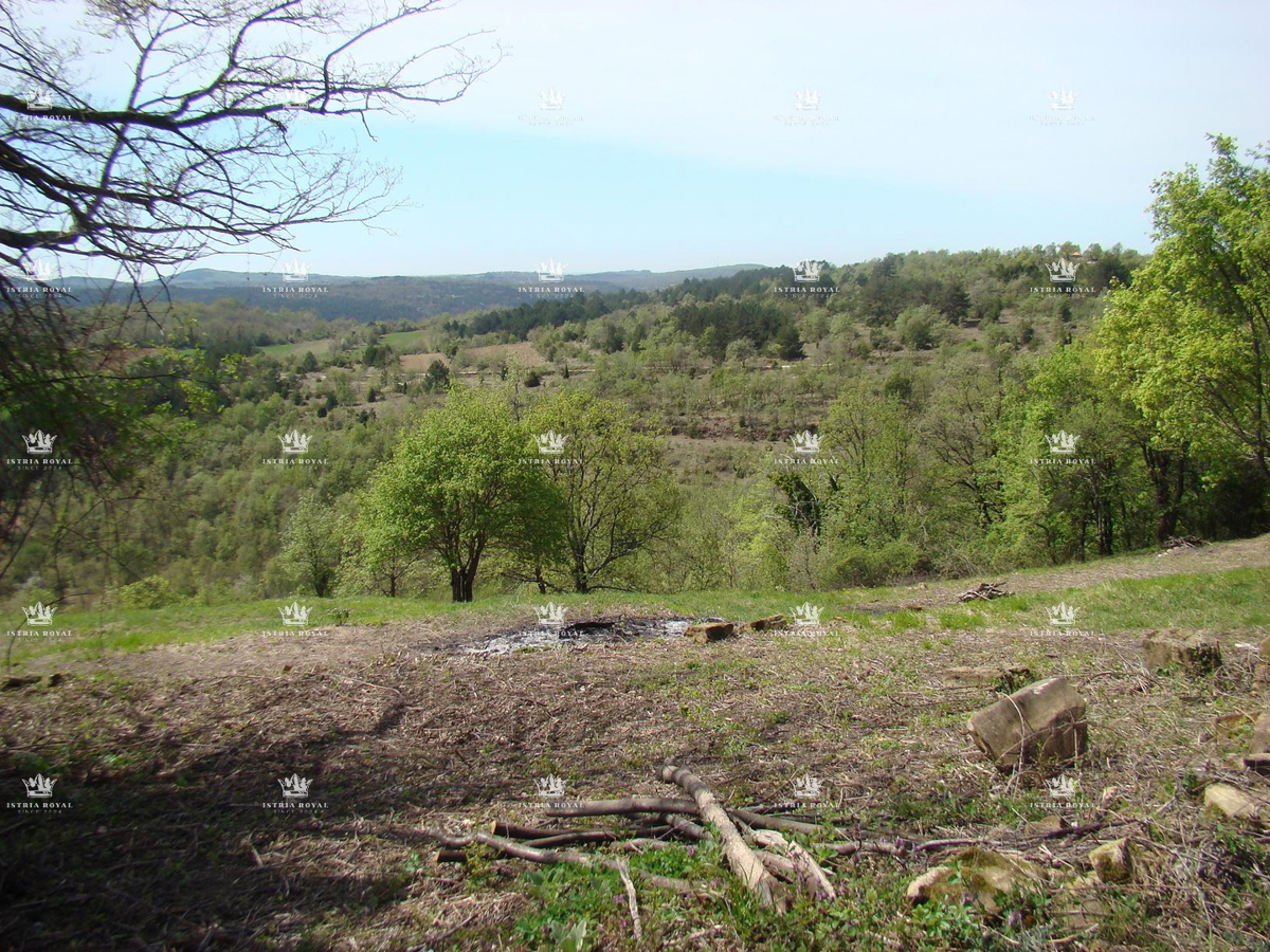 Istria, Grožnjan, complesso residenziale, terreno edificabile 2400 m2, vista mare