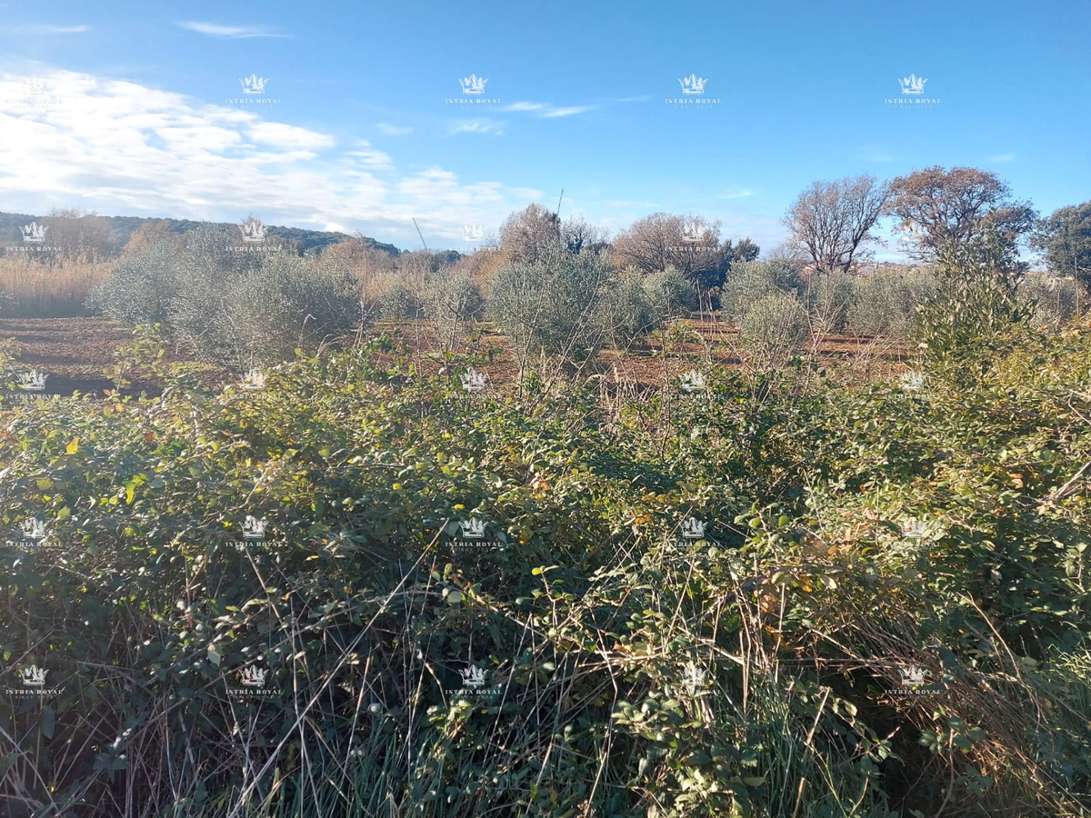 Terreno edificabile a Medulin – 1000 m², a 400 m dal mare, strada di accesso, ideale per investimento!