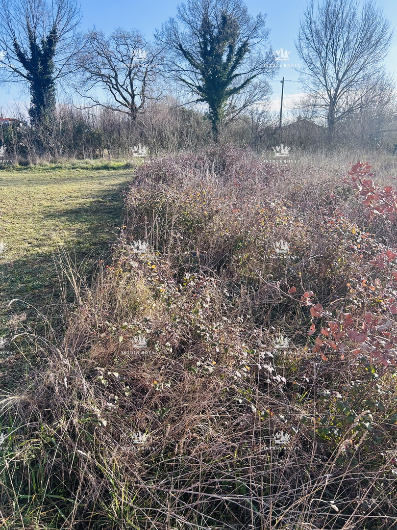 Istria, periferia di Lovrečica, terreno edificabile 390m2