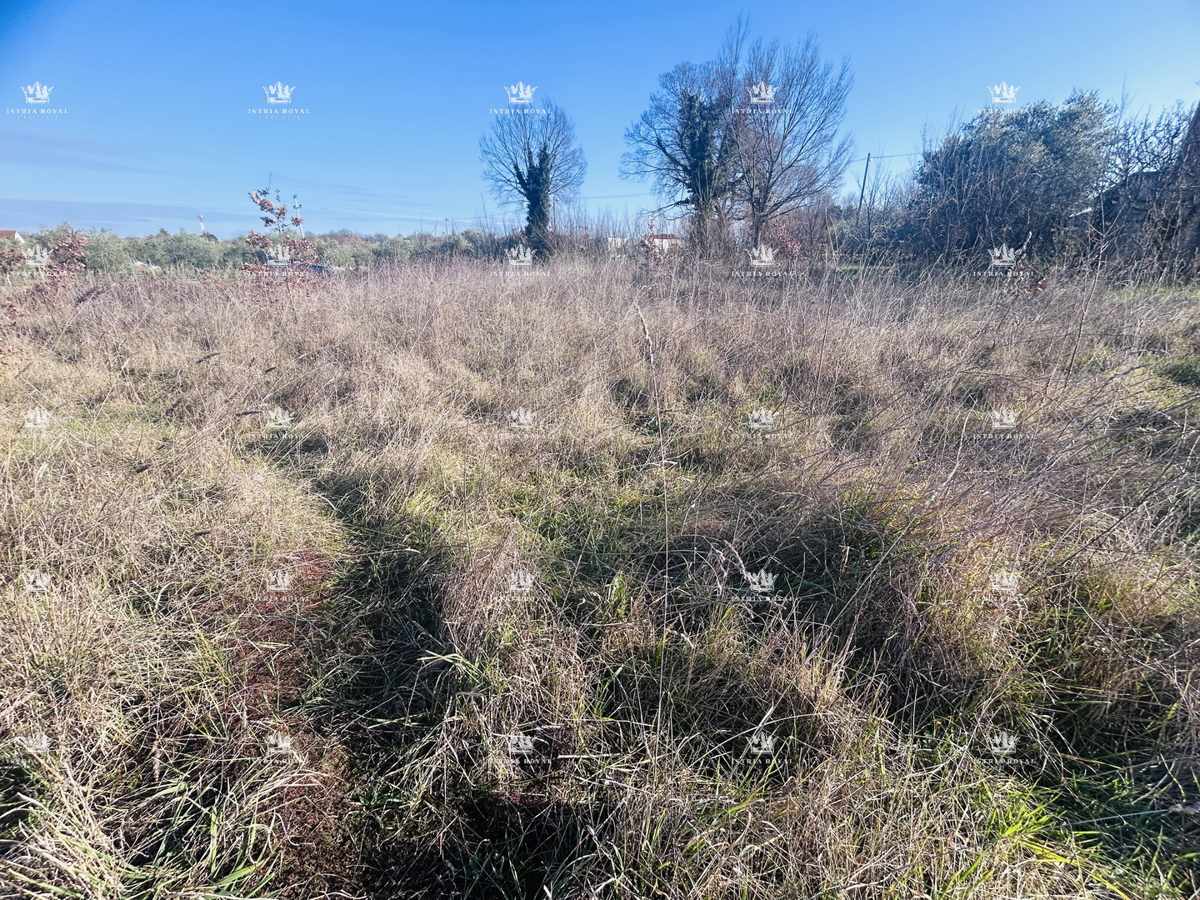 Istria, periferia di Lovrečica, terreno edificabile 390m2