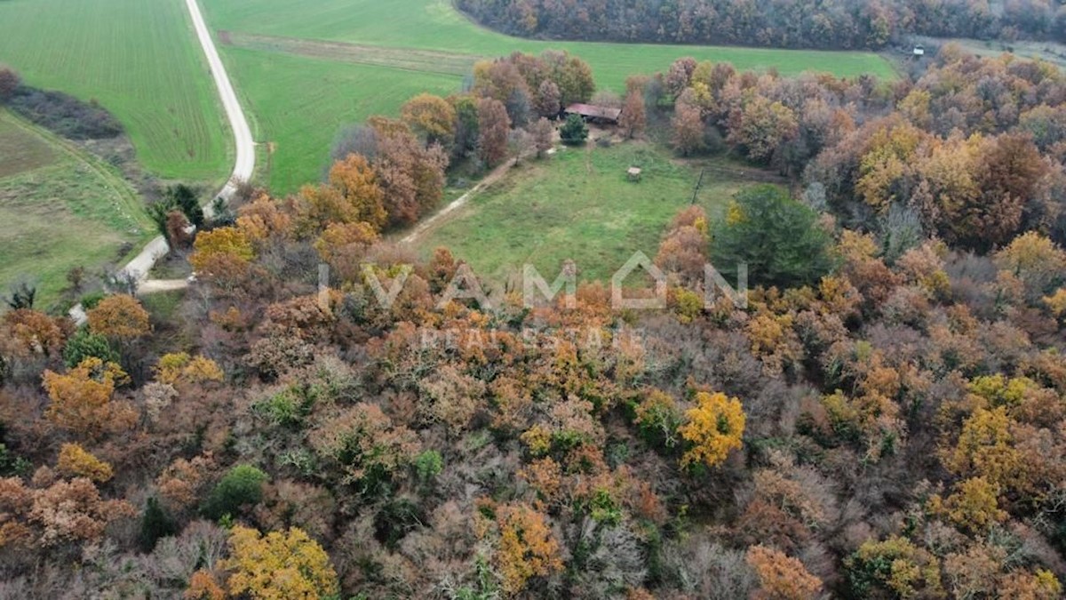 Terreno Poreč, 9.630m2