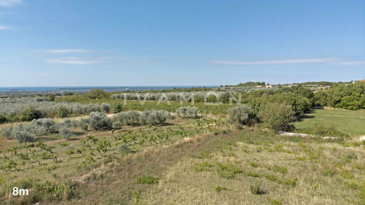 Villa con piscina e vista mare