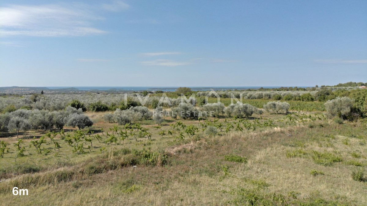 Villa con piscina e vista mare