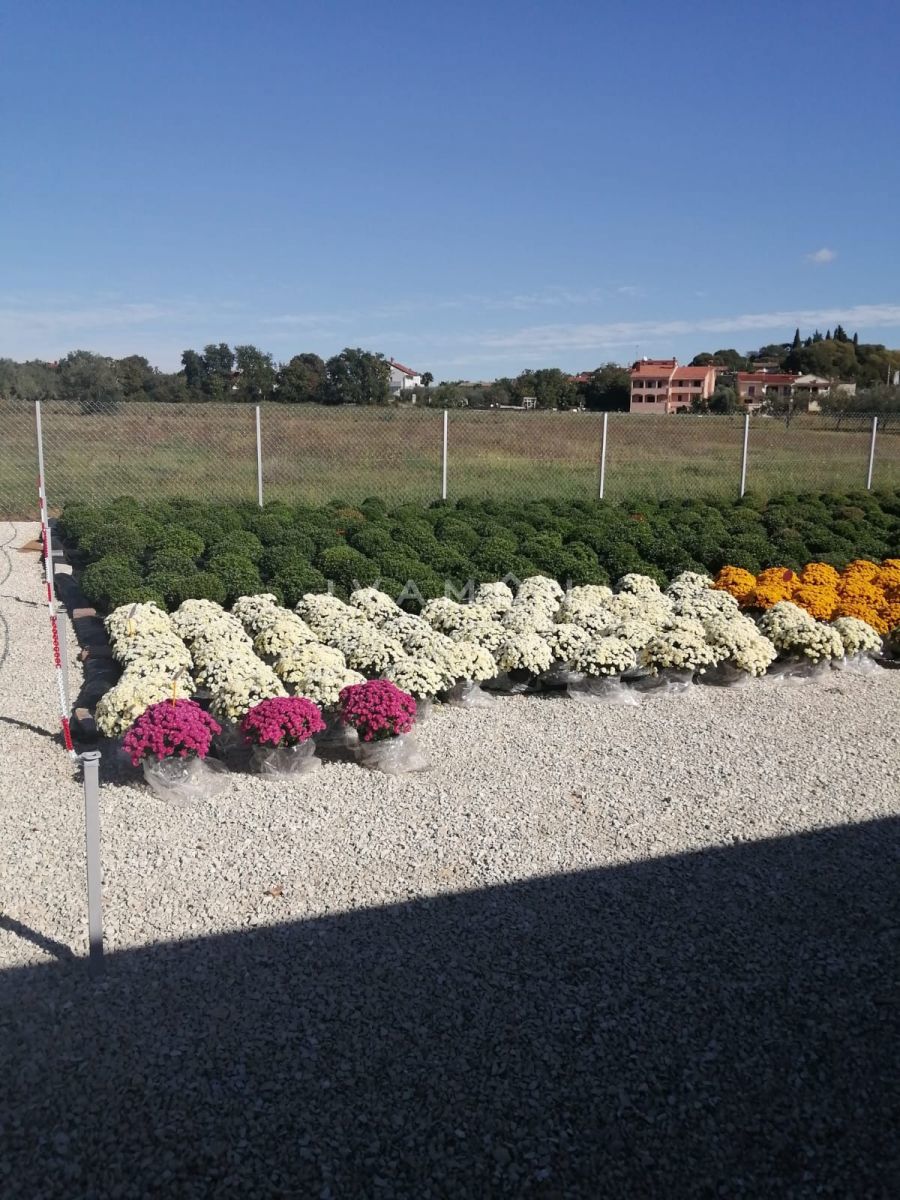 Terreno Agricolo con 3 Serre