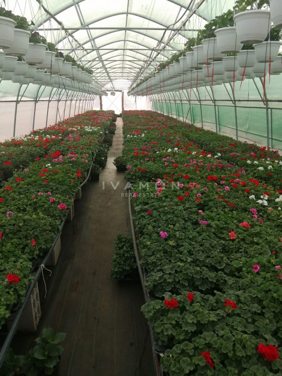 Terreno Agricolo con 3 Serre