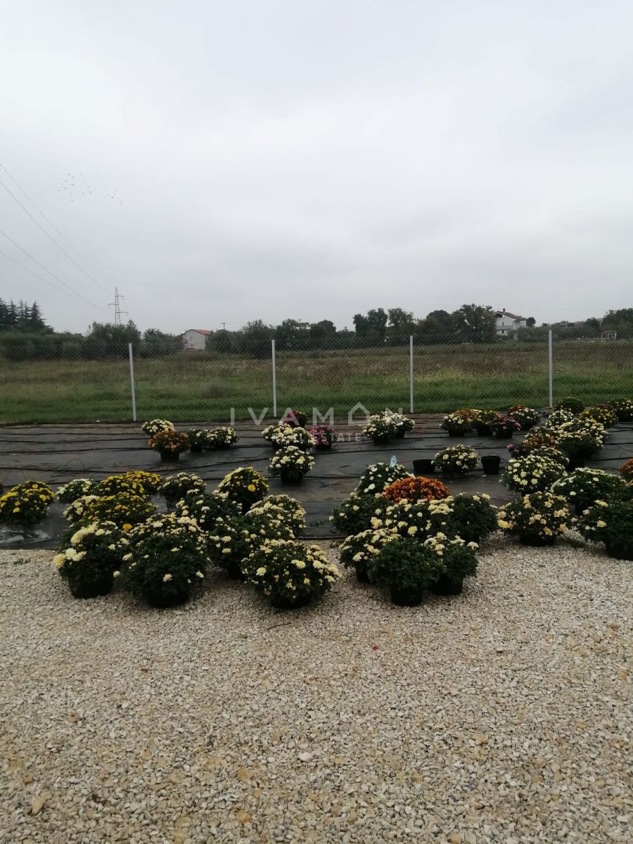 Terreno Agricolo con 3 Serre