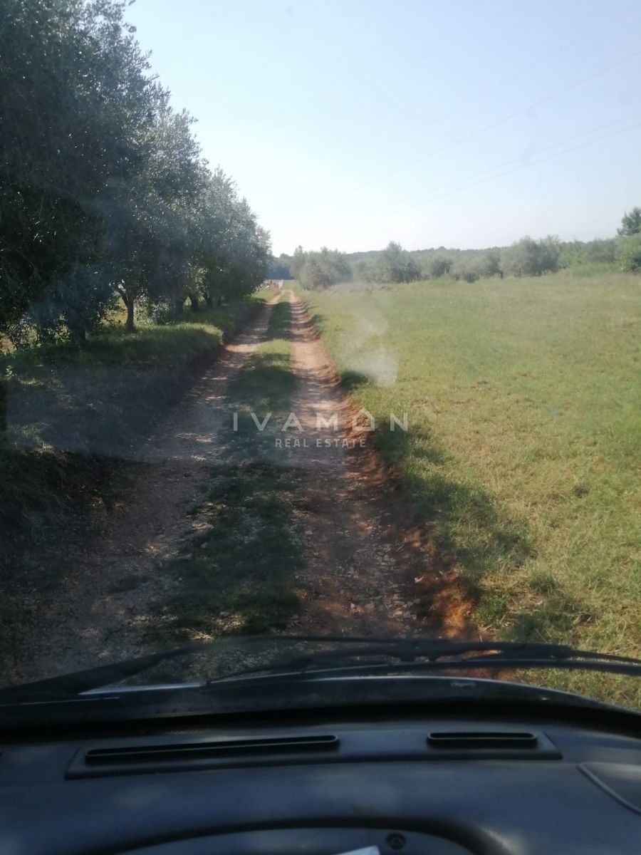 Terreno Agricolo con 3 Serre